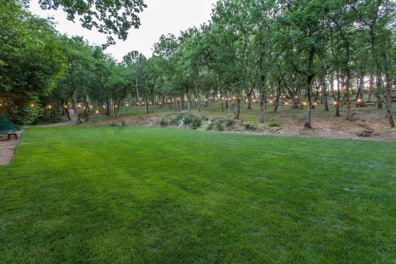 Luxor Chianti Glamping Village كاستيلّينا إنْ كْيانت المظهر الخارجي الصورة