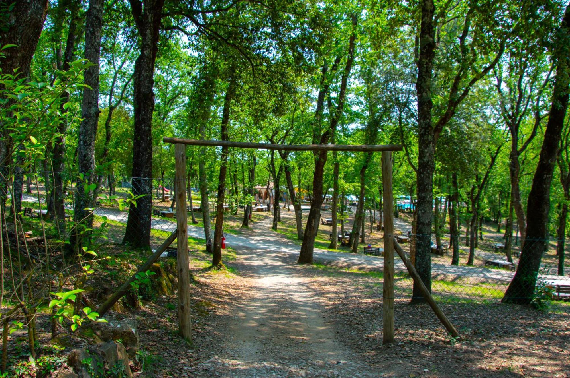 Luxor Chianti Glamping Village كاستيلّينا إنْ كْيانت المظهر الخارجي الصورة